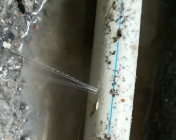 顺庆卫生间测漏水多少钱