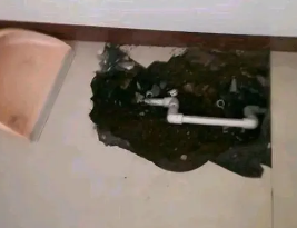 顺庆卫生间测漏水多少钱