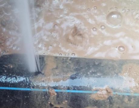 顺庆卫生间防水哪家好